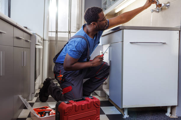 Best Plumbing Services Near Me  in Port Huron, MI