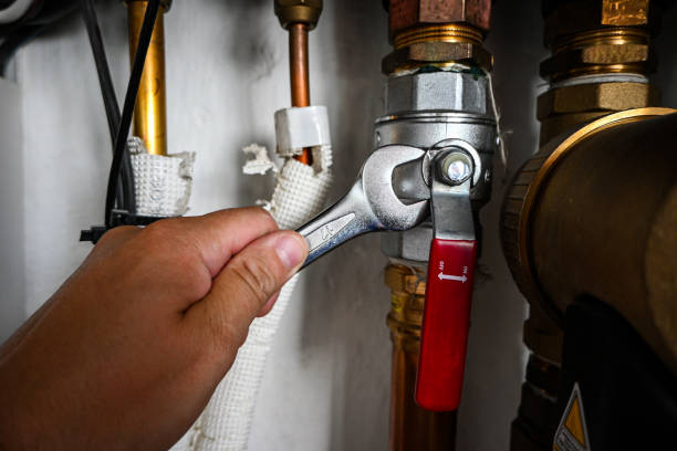 Best Commercial Plumbing Services  in Port Huron, MI